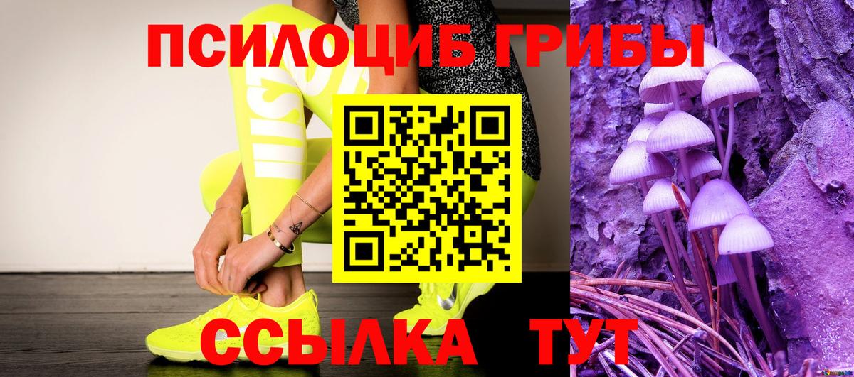 Галлюциногенные грибы GOLDEN TEACHER  Вход с VPN  Новодвинск 